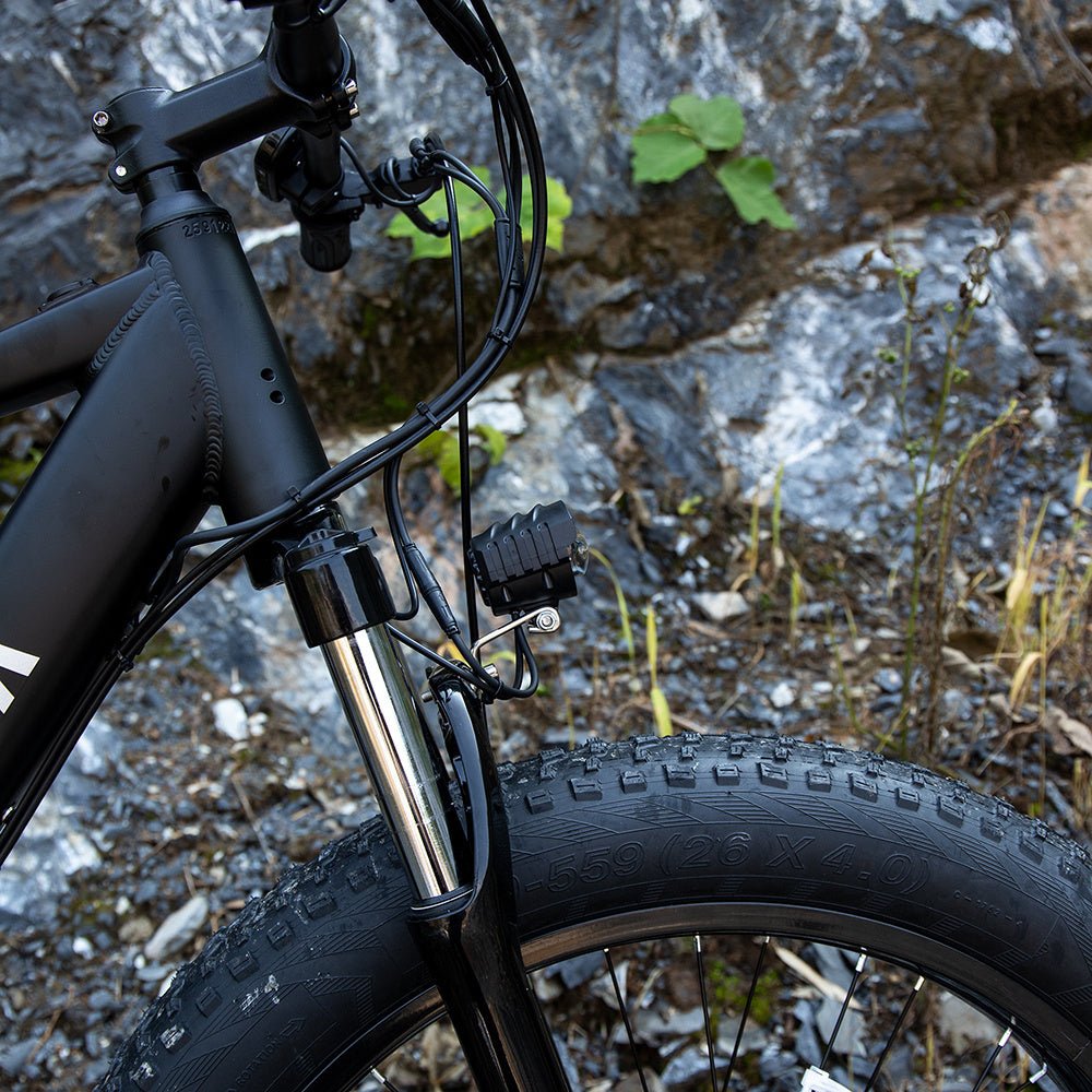 Professional Electric Bike For Adults, Fat Tire Electric Mountain Bicycle