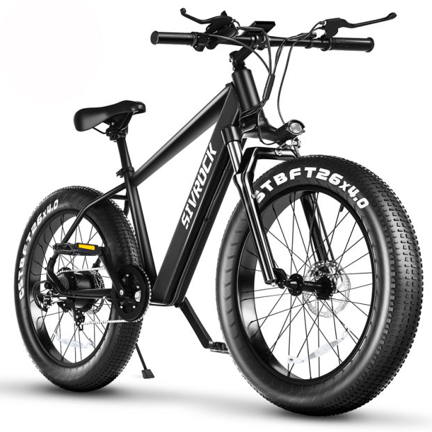 Professional Electric Bike For Adults, Fat Tire Electric Mountain Bicycle
