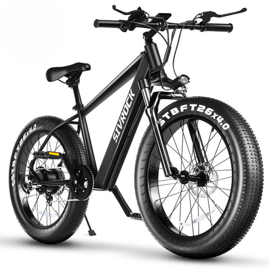 Professional Electric Bike For Adults, Fat Tire Electric Mountain Bicycle