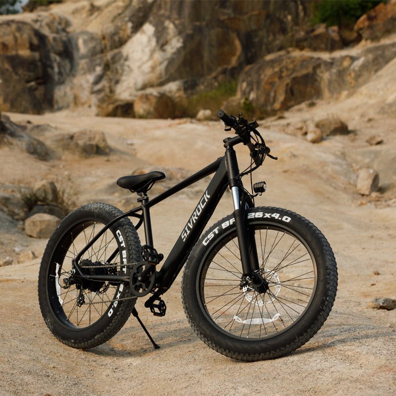 Professional Electric Bike For Adults, Fat Tire Electric Mountain Bicycle