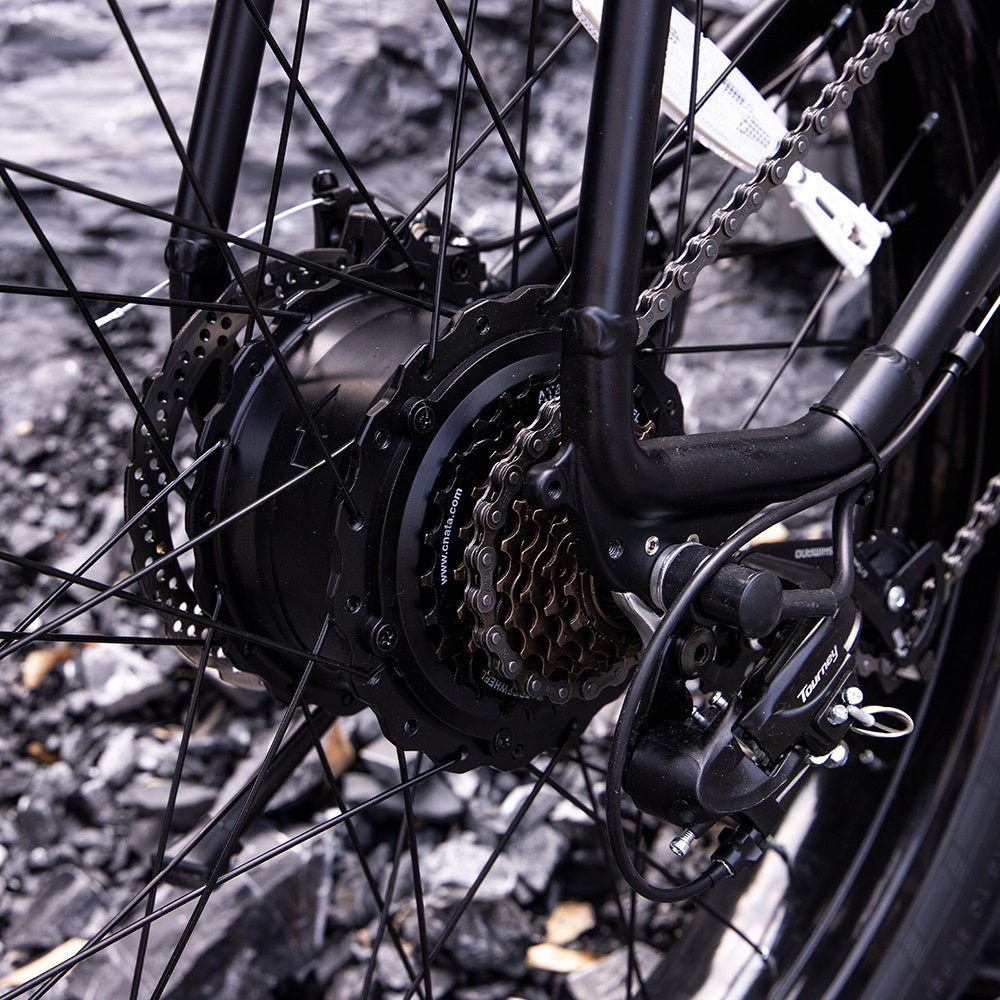 Professional Electric Bike For Adults, Fat Tire Electric Mountain Bicycle