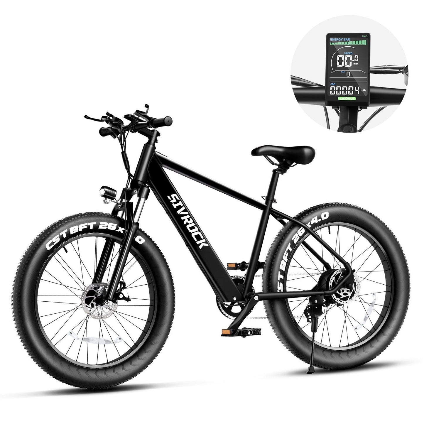 Professional Electric Bike For Adults, Fat Tire Electric Mountain Bicycle