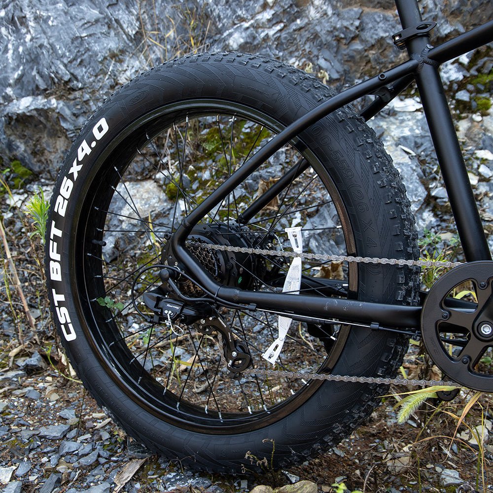 Professional Electric Bike For Adults, Fat Tire Electric Mountain Bicycle