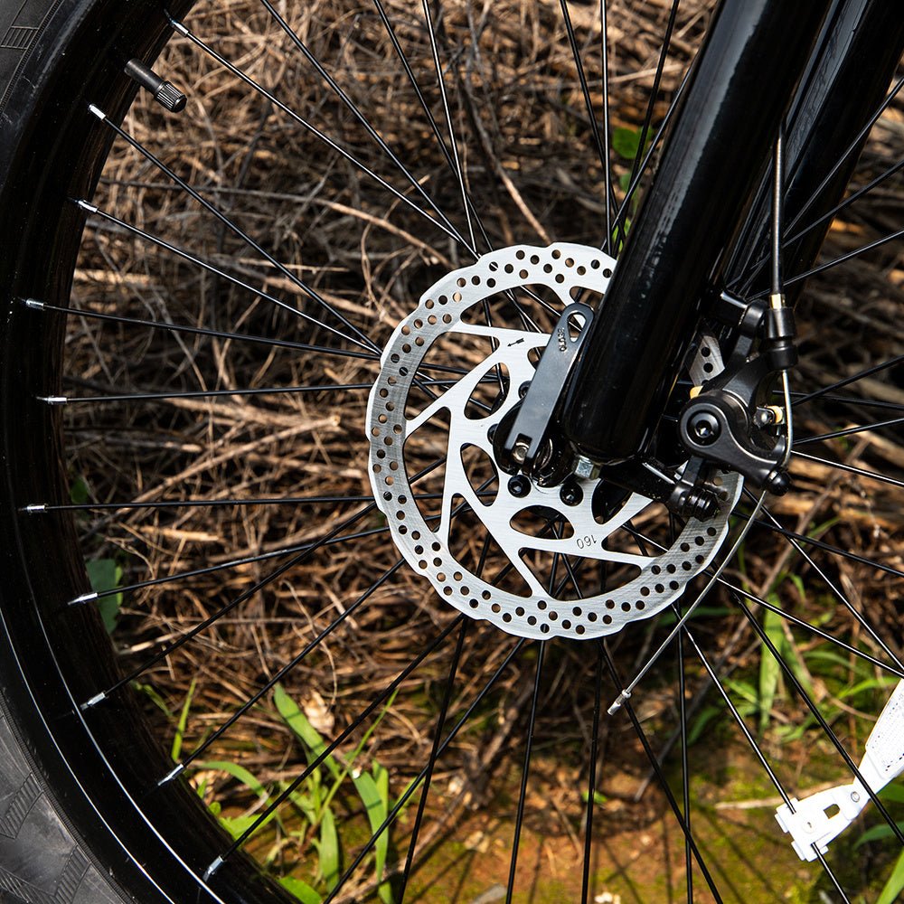 Professional Electric Bike For Adults, Fat Tire Electric Mountain Bicycle