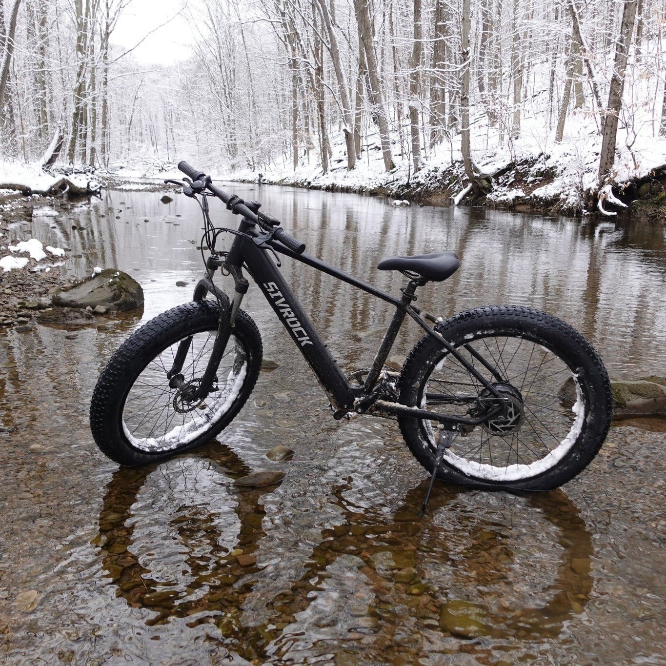 Professional Electric Bike For Adults, Fat Tire Electric Mountain Bicycle