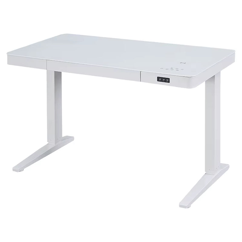 Modern Electric Standing Desk with Tempered Glass Desktop Dual Motor Height Adjustable Ergonomic Home Office Desks with Drawers