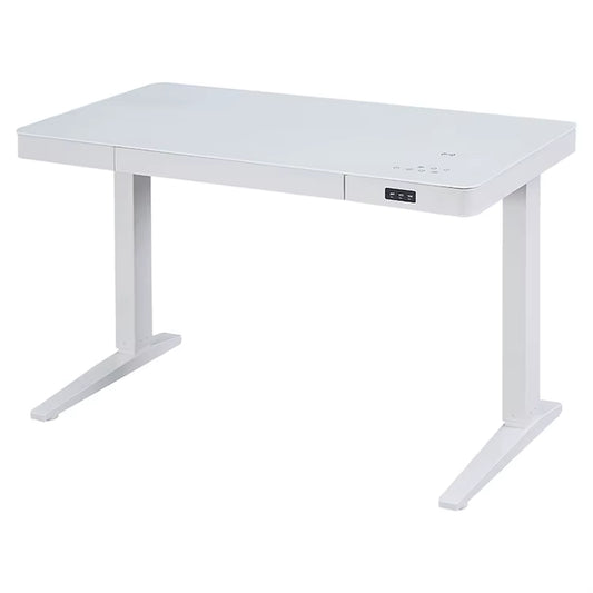 Modern Electric Standing Desk with Tempered Glass Desktop Dual Motor Height Adjustable Ergonomic Home Office Desks with Drawers