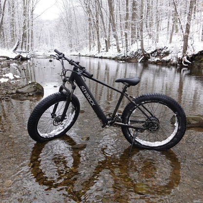 Professional Electric Bike For Adults, Fat Tire Electric Mountain Bicycle